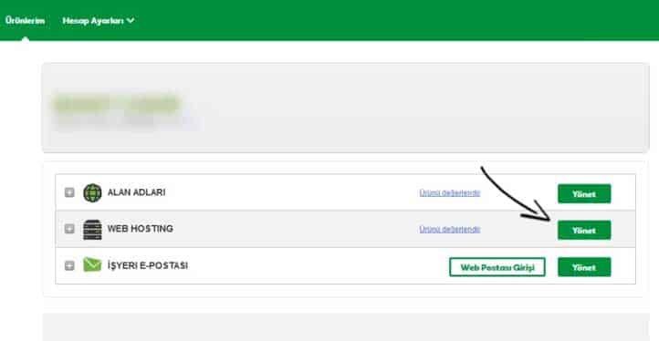 web hosting alanına giris